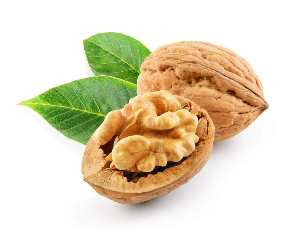 China Xinjiang raw thin skinned nuts price walnut can do jujube walnut