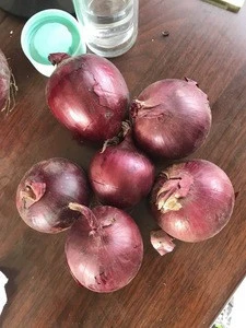Chinese Big Size 5-7cm Fresh Red Onion For Sale In 2017