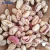 Import Chinese raw long red wholesale kidney beans dark red from China