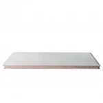 Clean room Panel Partition Wall In Cleanroom EPS/Rockwool/PU Sandwich Panel