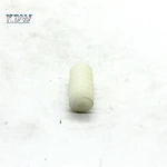CNC Milling Small Plastic Parts Nylon Pinion Worm Gear