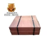 copper cathode with high purity and low price for sales