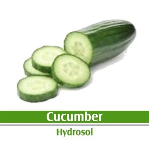 Cucumber Hydrosol 100% Pure and Natural