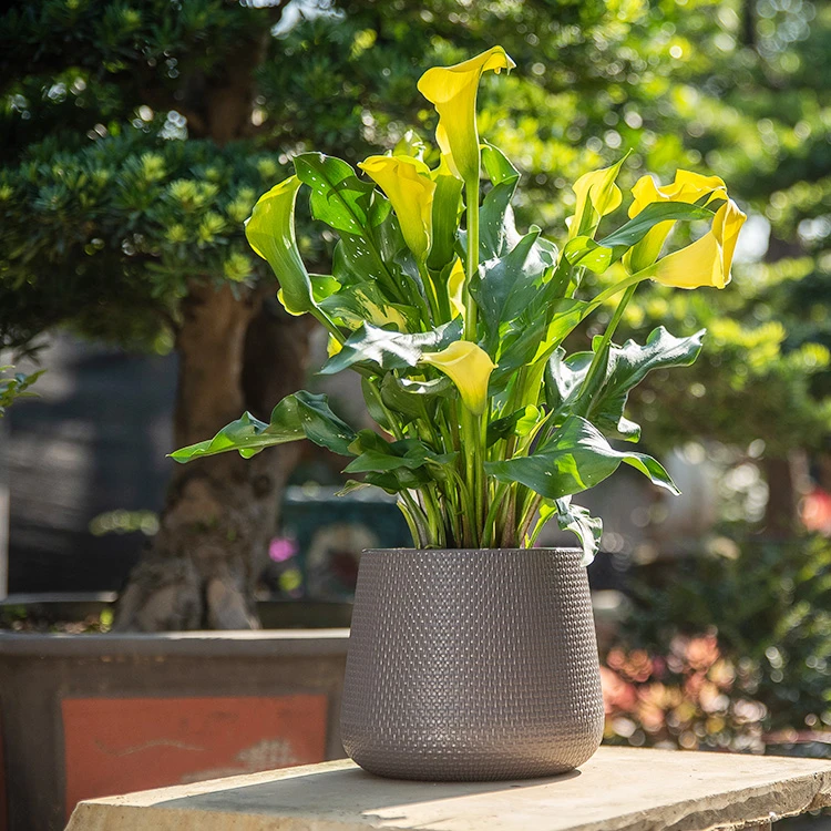 Customized different sizes home garden flowerpot plastic hanging plant planter pot