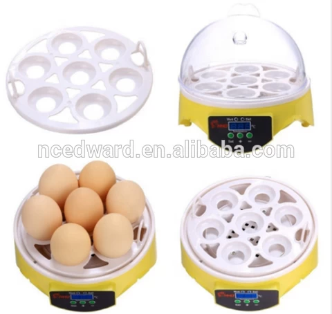 Cute As Gift HHD EW-7 Goose  Egg Incubator and Hatchery Fully Automatic Light