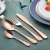 Import Cutlery Sets Gift Package Colorful Stainless Steel 16 Pcs Flatware Sets 5 Sets Titanium Luxury Gift Box Dining Room,desktop from China
