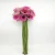 Import Decorative Fresh Cut Flower Gerberas For Wedding Flower from China