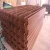 Import decorative welded powder coated wire mesh panel from China