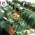 Import Designer fabric supplier wholesale printed french silk chiffon materials fabric from China