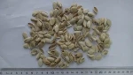 Dried Cushaw seed husk Squash seed shell Semen cucurbitae semina Forage Fodder Feed Feedingstuff