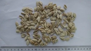 Dried Cushaw seed husk Squash seed shell Semen cucurbitae semina Forage Fodder Feed Feedingstuff