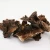 Import dried mushrooms black wild tiger palm mushroom from China
