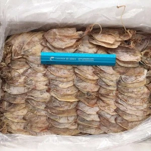 Dried whole squid 5A after processing