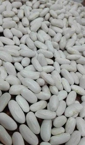 Egypt White Kidney Beans All Quality Types