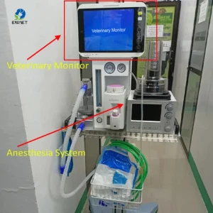 EUR VET Other Veterinary Instrument Veterinary Anesthesia Machine For Hospital Surgical Use