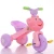 Import factory direct sale cheap small kids tricycle for 2-6 year olds from China