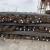 Import Factory Direct Sales Cold Drawn Steel Reinforcement Bar/Rebar from China
