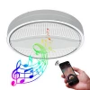Factory Price CCT Adjustable And Dimmable Music RGB Multi Color LED Ceiling Light