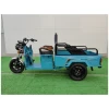 Factory Sale 3 Wheel Baby Truck Adult 500W 800w 48V Maintenance-free Battery Light-Van Elderly Passenger-cargo Tricycle Dual Use