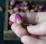 Factory Supply high quality dried rose buds petals rose flowers for tea