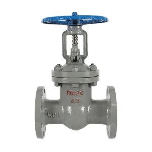 Fast Shipping High Quality Cast Steel Gate Valve Direct Deal Cast Steel Gate Valve DN125 Cast Steel Gate Valve