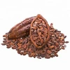 fermented Cocoa Beans For Sale