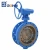 Flanged Metal-Seat Butterfly Valve ANSI B16.5