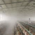 Import Foggy System Security Chicken Poultry Farming Equipment from China