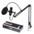 Import Foldable Mic Condenser Microphone Pro Audio Studio Sound Recording Arm Stand Filter from China