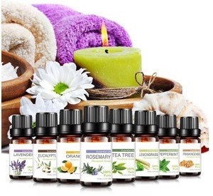 Fragrance Oils for Aroma Diffuser 500ml Fragrance essential oils International Popular Flavors