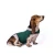 Free Shipping 2020 New Product Designer Pet Dog Anxiety Jacket