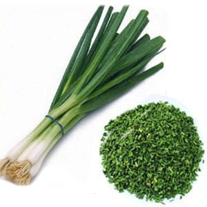 Freeze Dried Scallions With Best Price
