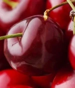 Fresh Cherry Fruit