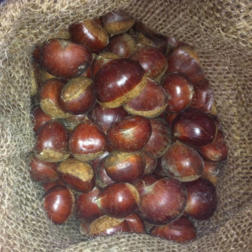 fresh chestnut price per kg