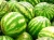 Import Fresh Fruits Water Melons Quality As export standard from South Africa