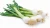 Import Fresh Green vegetable Scallions from United Kingdom
