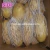 Import fresh Holland potato fresh potato buyer from China