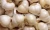 Import Fresh Pure White Garlic from India