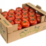 Fresh Tomato F-190