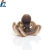 Import Frozen Whole Cleaned flower shape Baby Octopus ocellatus from China
