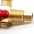 Import Genuine Firetrace FM200 valve for gas Fire Suppression System and  Fire Extinguishing cylinder valve from China