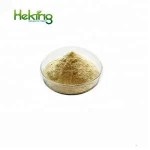 Ginger Root extract for nausea