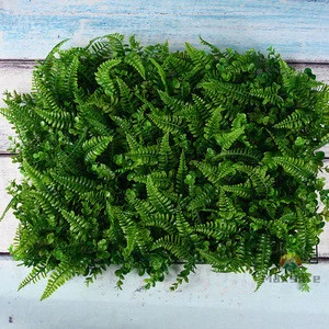 Green Color and Plastic Material Artificial Plants Outdoor Green Foliage Wall Decoration