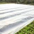 Import greenhouse winter biodegradable agricultural 100%pp nonwoven fabric film weed mat control plant freeze  protection cover mulch from China