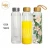 Import GS07-B 480ml  for Hot Cold Tea Detox  Insulated Glass Water Bottle with Handle Lid and strainer from China