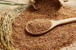 HACCP Certification Long-Grain Thai Sangyod Rice Brown Rice Crop Year 2020 With 12% Max. Moisture