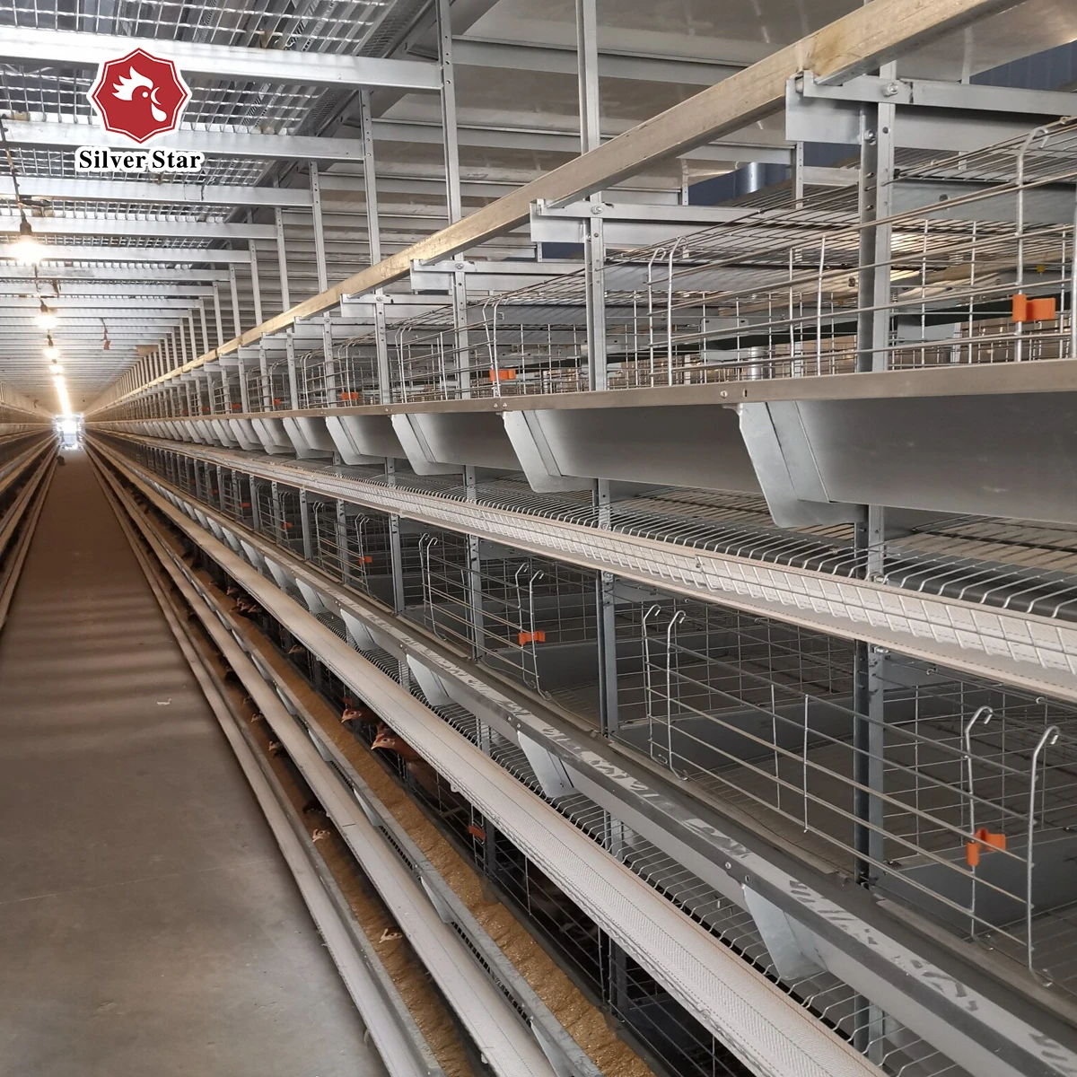 Henan silver star poultry equipment chicken cages for Kenya farm