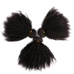 High Quality 10 To 30 Inch 4a 4b 4c Natural Afro Kinky Curly Hair Extensions 100 Virgin Natural Human Hair Weft