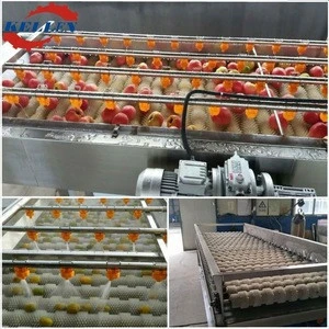 High quality and reasonable price fruit vegetable washer