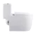 Import High quality bathroom accessories S trap ceramic toilet bowl ceramic sanitary ware siphonic one piece toilet hotel wc toilets from China